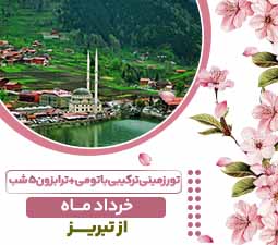 تور زمینی ترکیبی باتومی+ترابزون ۵شب ویژه خرداد